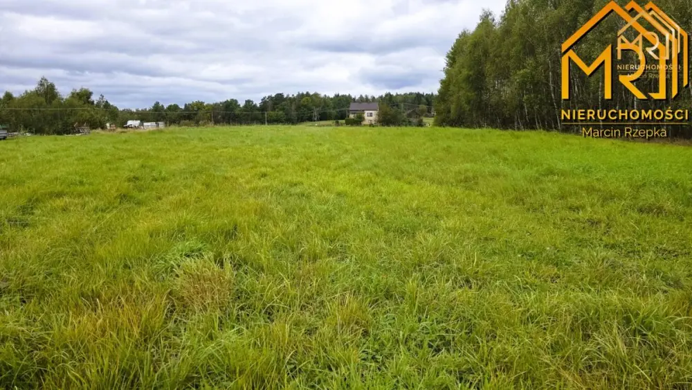 1 ha działki rolnej w gminie Szerzyny — zdjęcie 5, Działka na sprzedaż, Żurowa, gm. Szerzyny