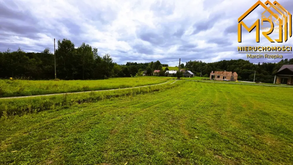 1 ha działki rolnej w gminie Szerzyny — zdjęcie 10, Działka na sprzedaż, Żurowa, gm. Szerzyny