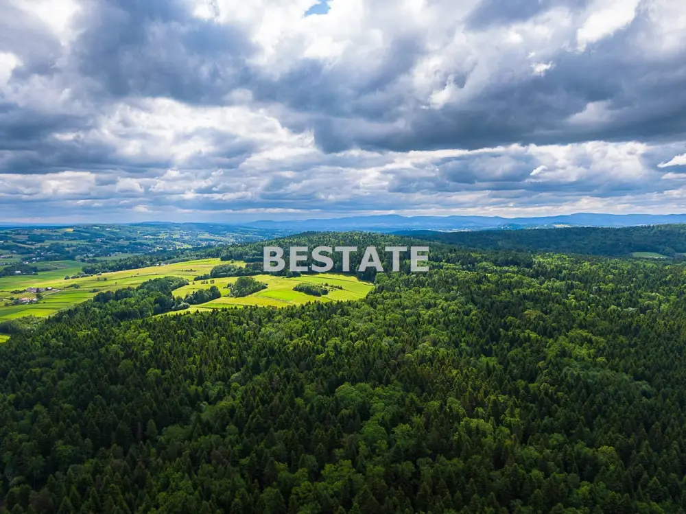 1,53 ha - Staszkówka — zdjęcie 9, Działka na sprzedaż, Staszkówka, Tarnów