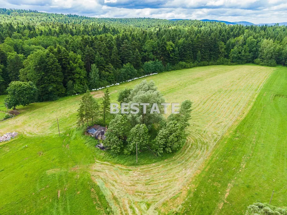 1,53 ha - Staszkówka — zdjęcie 2, Działka na sprzedaż, Staszkówka, Tarnów