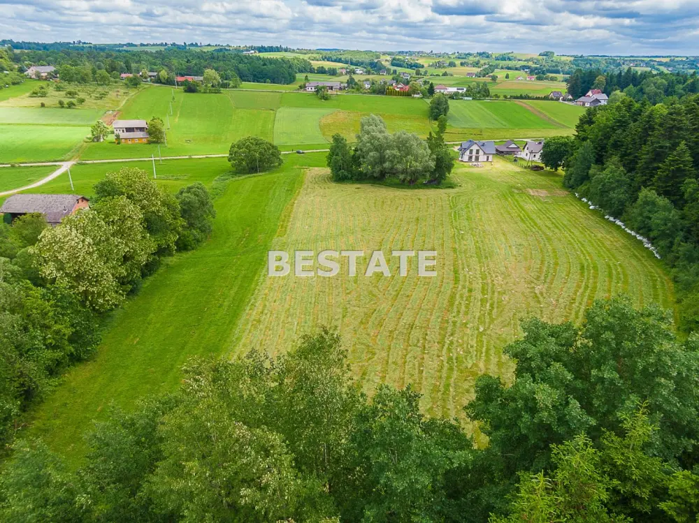 1,53 ha - Staszkówka — zdjęcie 4, Działka na sprzedaż, Staszkówka, Tarnów