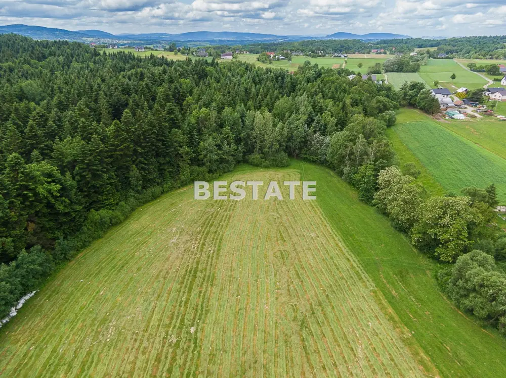 1,53 ha - Staszkówka — zdjęcie 3, Działka na sprzedaż, Staszkówka, Tarnów
