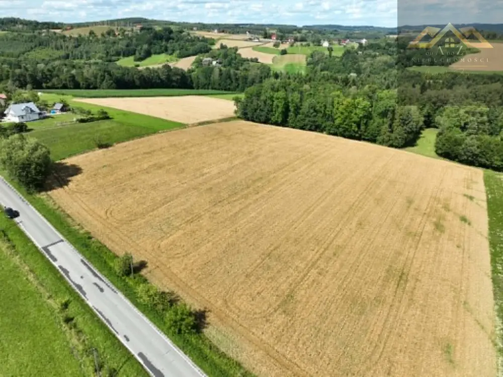 Budowlana 91 ar Lichwin gm. Pleśna, przy lesie — zdjęcie 10, Działka na sprzedaż, Lichwin, gm. Pleśna