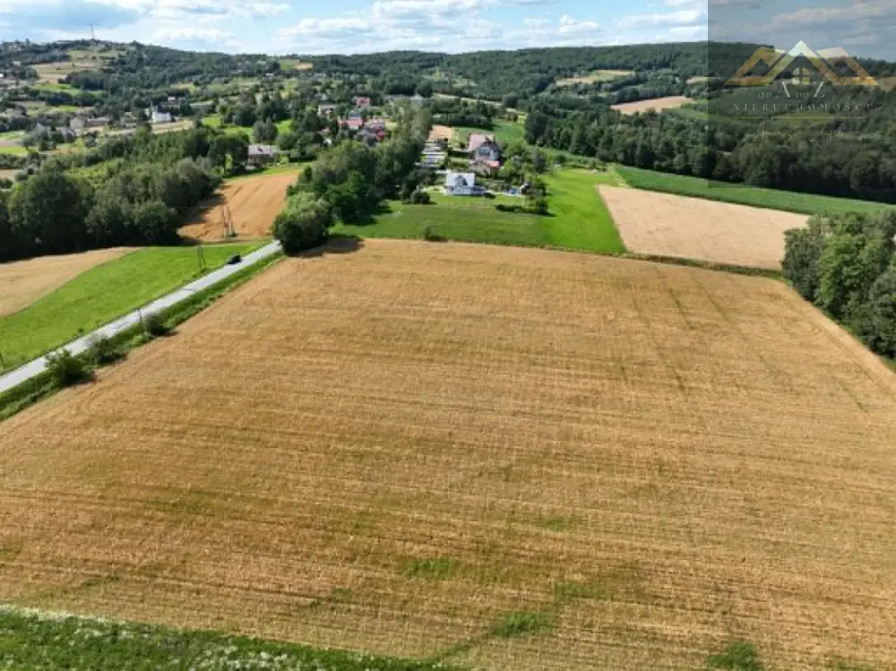 Budowlana 91 ar Lichwin gm. Pleśna, przy lesie — zdjęcie 3, Działka na sprzedaż, Lichwin, gm. Pleśna