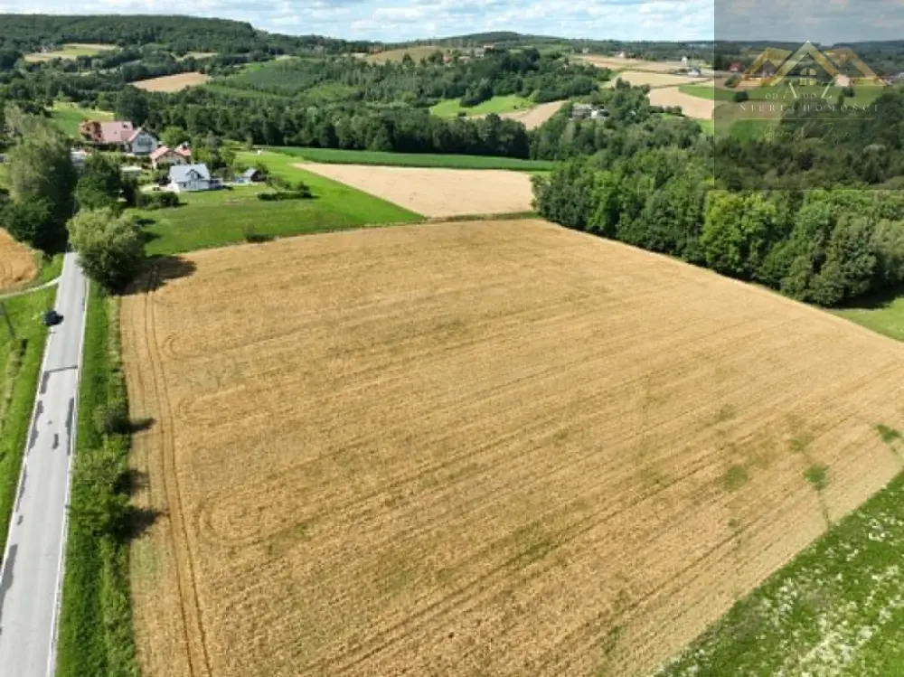 Budowlana 91 ar Lichwin gm. Pleśna, przy lesie — zdjęcie 7, Działka na sprzedaż, Lichwin, gm. Pleśna
