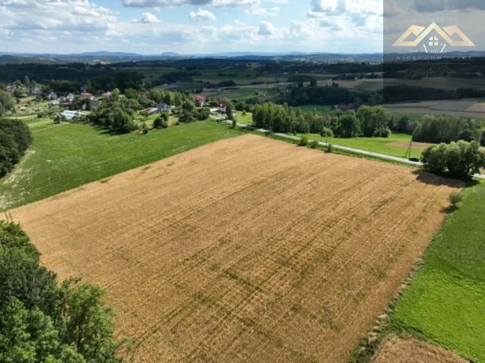 Budowlana 91 ar Lichwin gm. Pleśna, przy lesie — zdjęcie 6, Działka na sprzedaż, Lichwin, gm. Pleśna