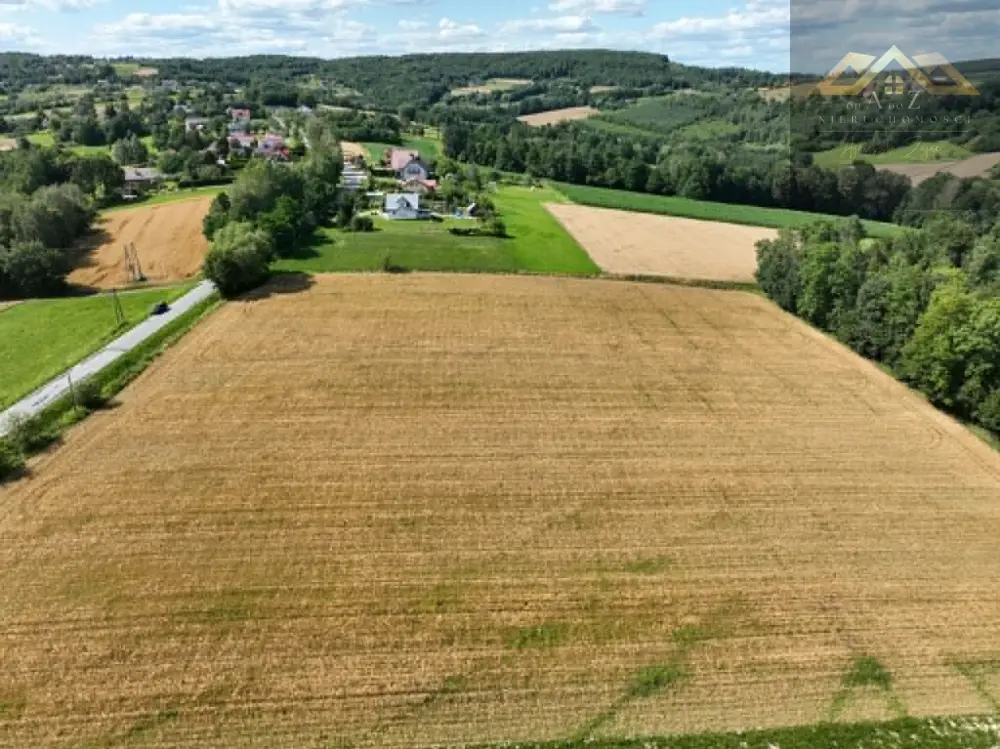 Budowlana 91 ar Lichwin gm. Pleśna, przy lesie — zdjęcie 9, Działka na sprzedaż, Lichwin, gm. Pleśna