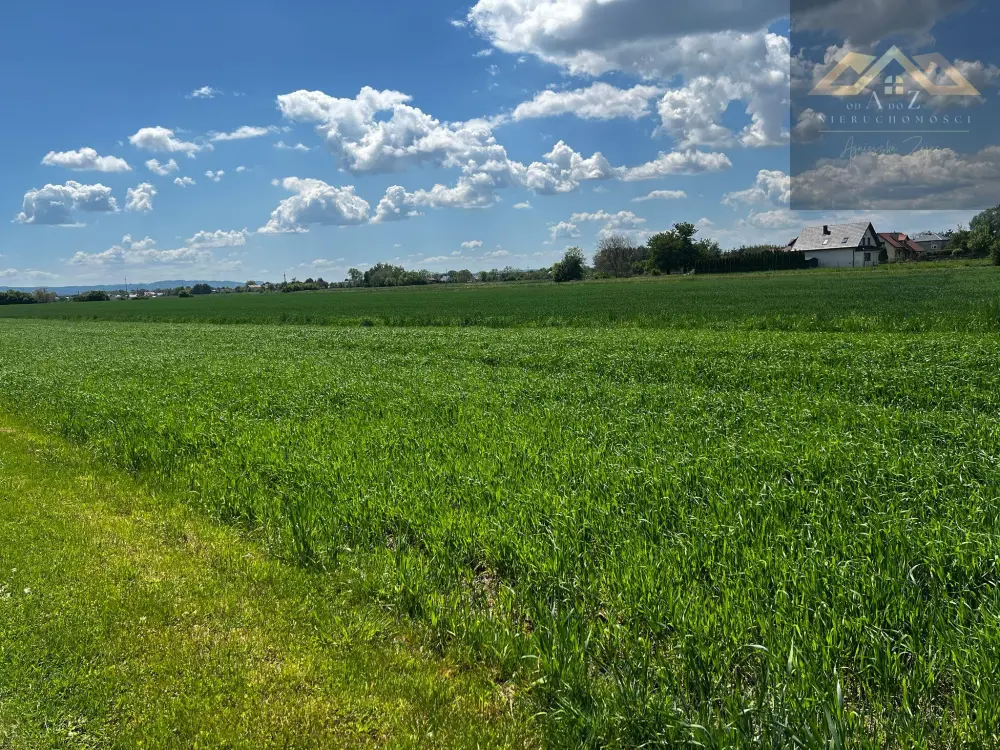Duża działka 54 ar z WZ na dom, Wierzchosławice gm. — zdjęcie 2, Działka na sprzedaż, Gosławice, gm. Wierzchosławice
