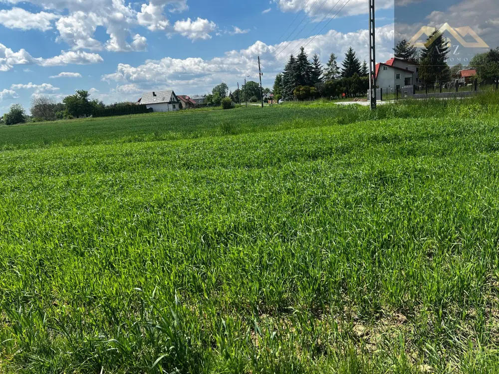 Duża działka 54 ar z WZ na dom, Wierzchosławice gm. — zdjęcie 4, Działka na sprzedaż, Gosławice, gm. Wierzchosławice
