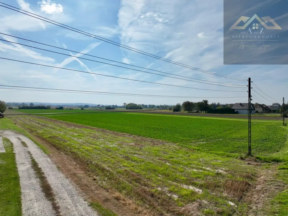 Duża działka 54 ar z WZ na dom, Wierzchosławice gm. — zdjęcie 5, Działka na sprzedaż, Gosławice, gm. Wierzchosławice