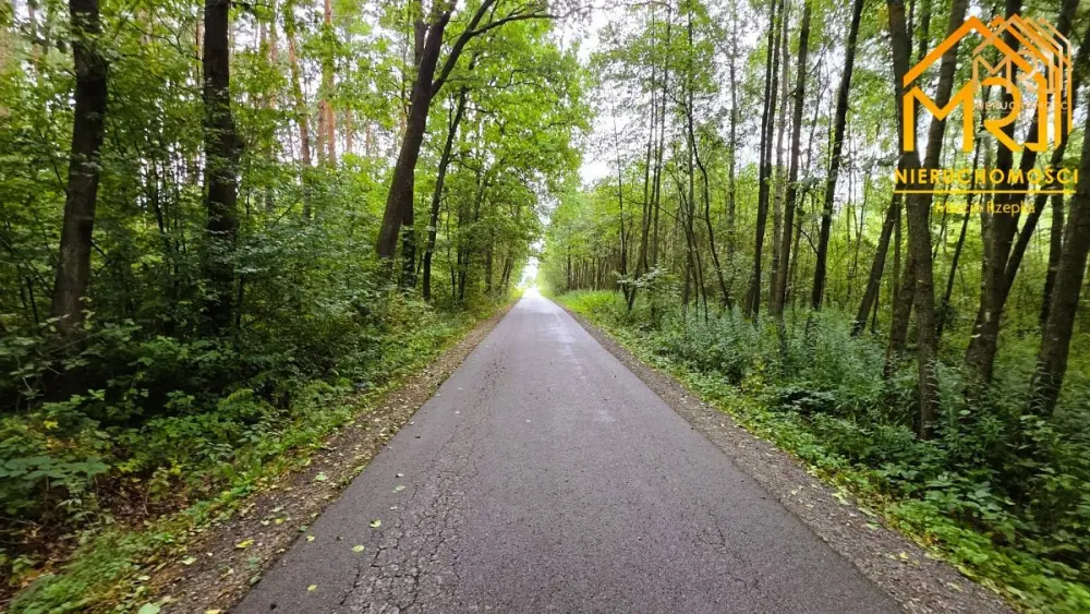 Duża działka leśna w gminie Osiek — zdjęcie 5, Działka na sprzedaż, Ossala, Tarnów