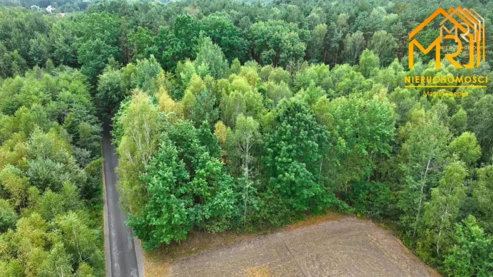 Duża działka leśna w gminie Osiek — zdjęcie 9, Działka na sprzedaż, Ossala, Tarnów