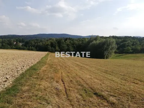 Działka 5 300 m², Joniny — Ryglice