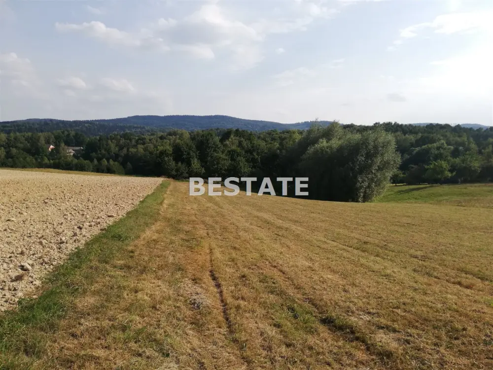 Działka 5 300 m², Joniny — Działka na sprzedaż, Joniny, gm. Ryglice