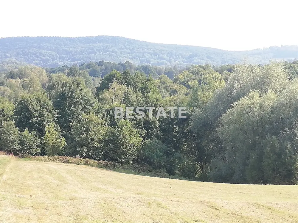 Działka 5 300 m², Joniny — zdjęcie 2, Działka na sprzedaż, Joniny, gm. Ryglice
