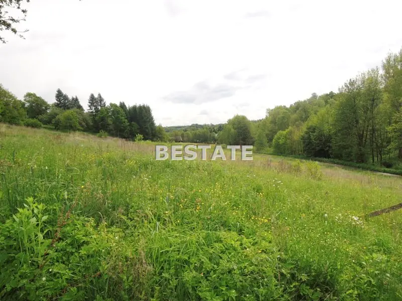 Działka budowlana 1 576 m², Zalasowa — zdjęcie 2, Działka na sprzedaż, Zalasowa, gm. Ryglice