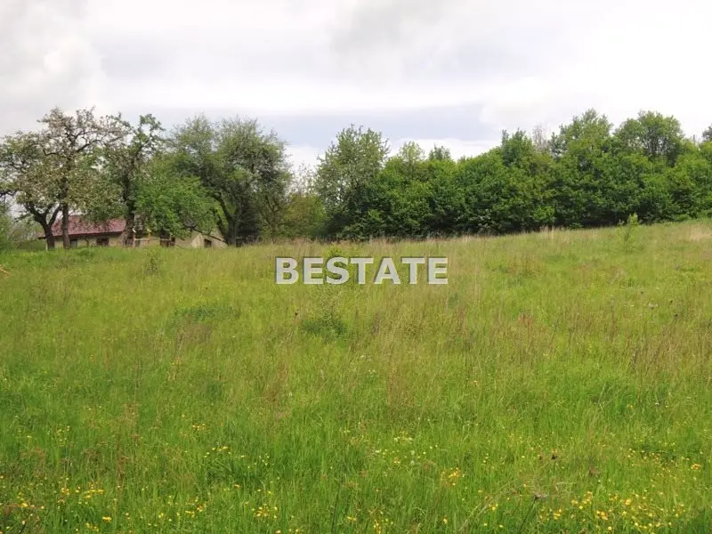 Działka budowlana 1 576 m², Zalasowa — Działka na sprzedaż, Zalasowa, gm. Ryglice