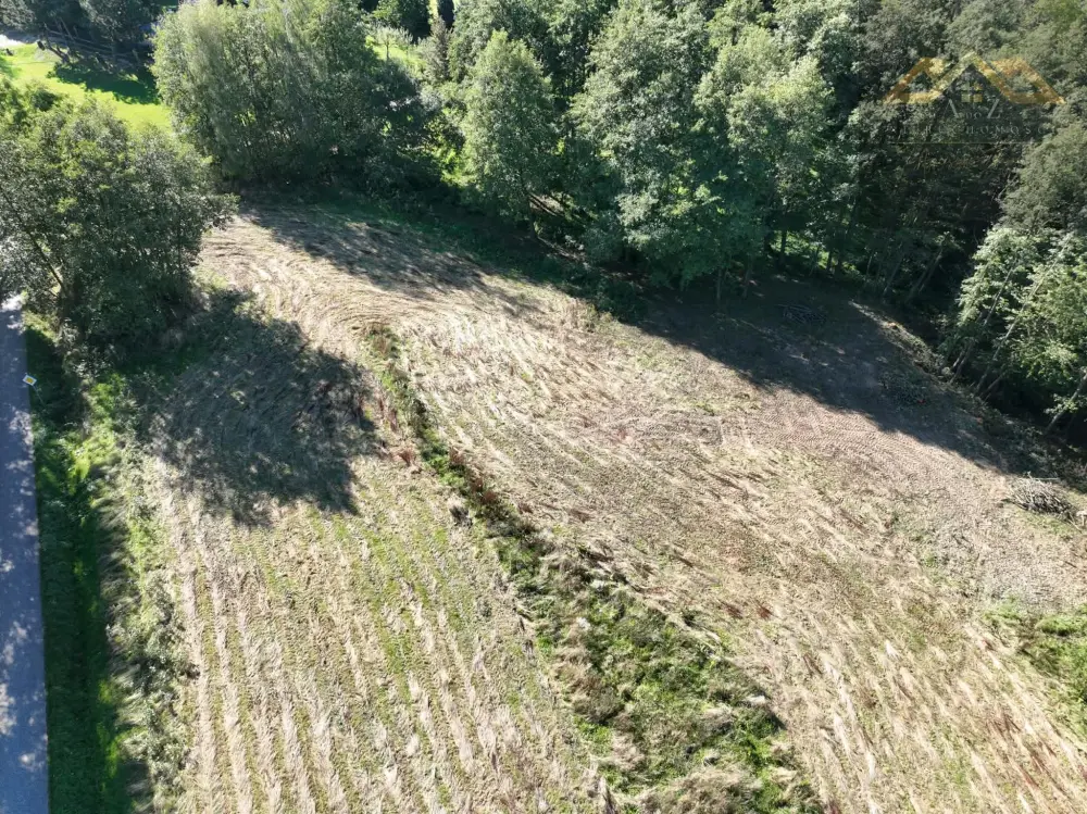 Działka budowlana 10 600 m², Skrzyszów — zdjęcie 4, Działka na sprzedaż, Łękawica, gm. Skrzyszów