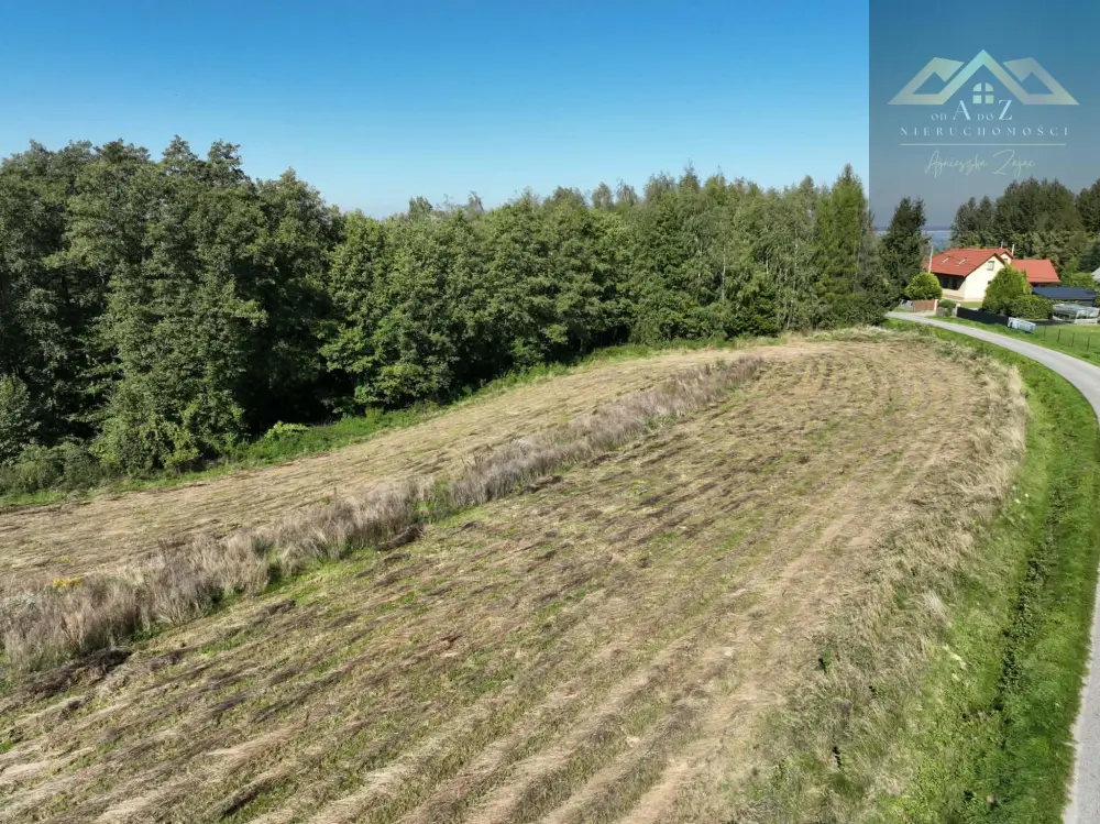 Działka budowlana 10 600 m², Skrzyszów — Działka na sprzedaż, Łękawica, gm. Skrzyszów