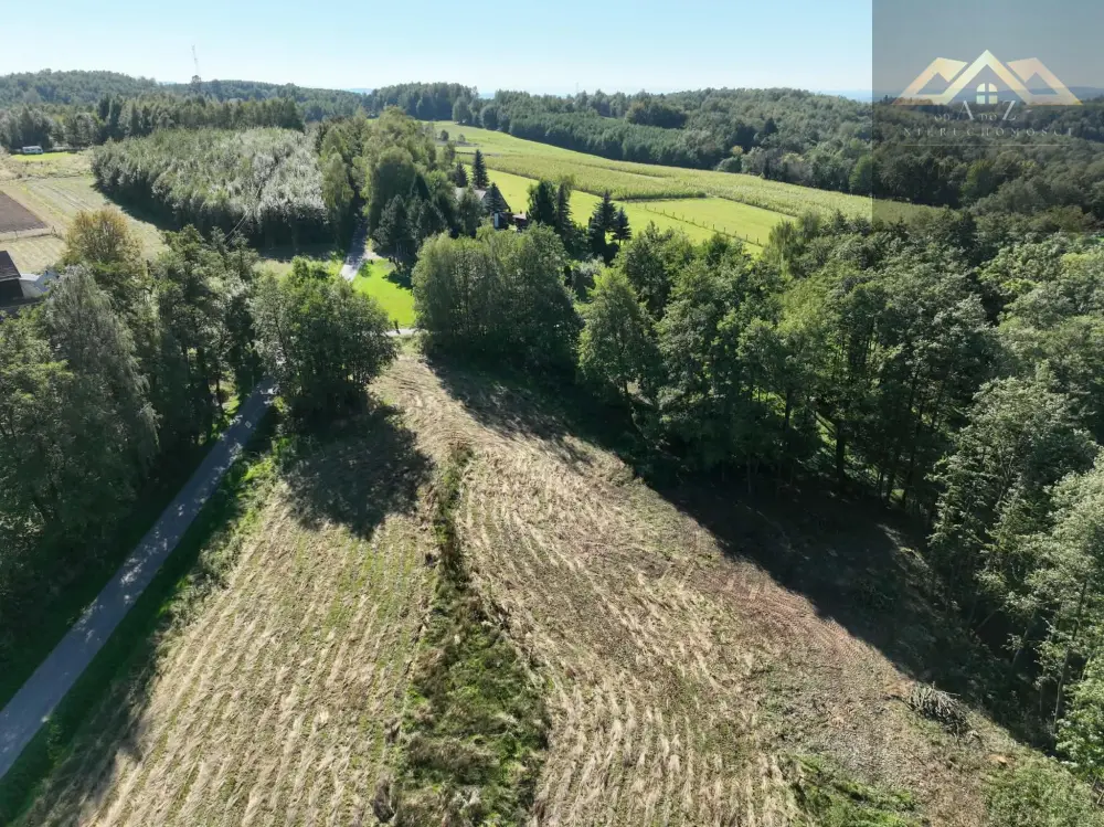 Działka budowlana 10 600 m², Skrzyszów — zdjęcie 2, Działka na sprzedaż, Łękawica, gm. Skrzyszów