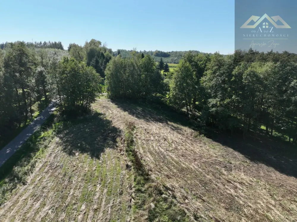 Działka budowlana 10 600 m², Skrzyszów — zdjęcie 5, Działka na sprzedaż, Łękawica, gm. Skrzyszów