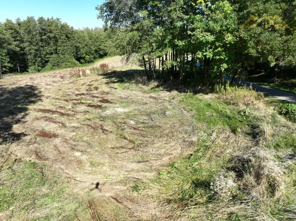 Działka budowlana 10 600 m², Skrzyszów — zdjęcie 3, Działka na sprzedaż, Łękawica, gm. Skrzyszów
