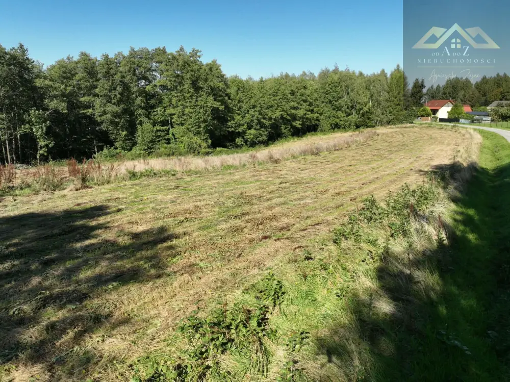 Działka budowlana 10 600 m², Skrzyszów — zdjęcie 9, Działka na sprzedaż, Łękawica, gm. Skrzyszów