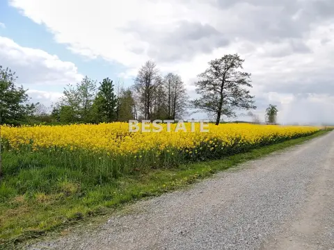 Działka budowlana 2 900 m², Pawęzów — Lisia Góra