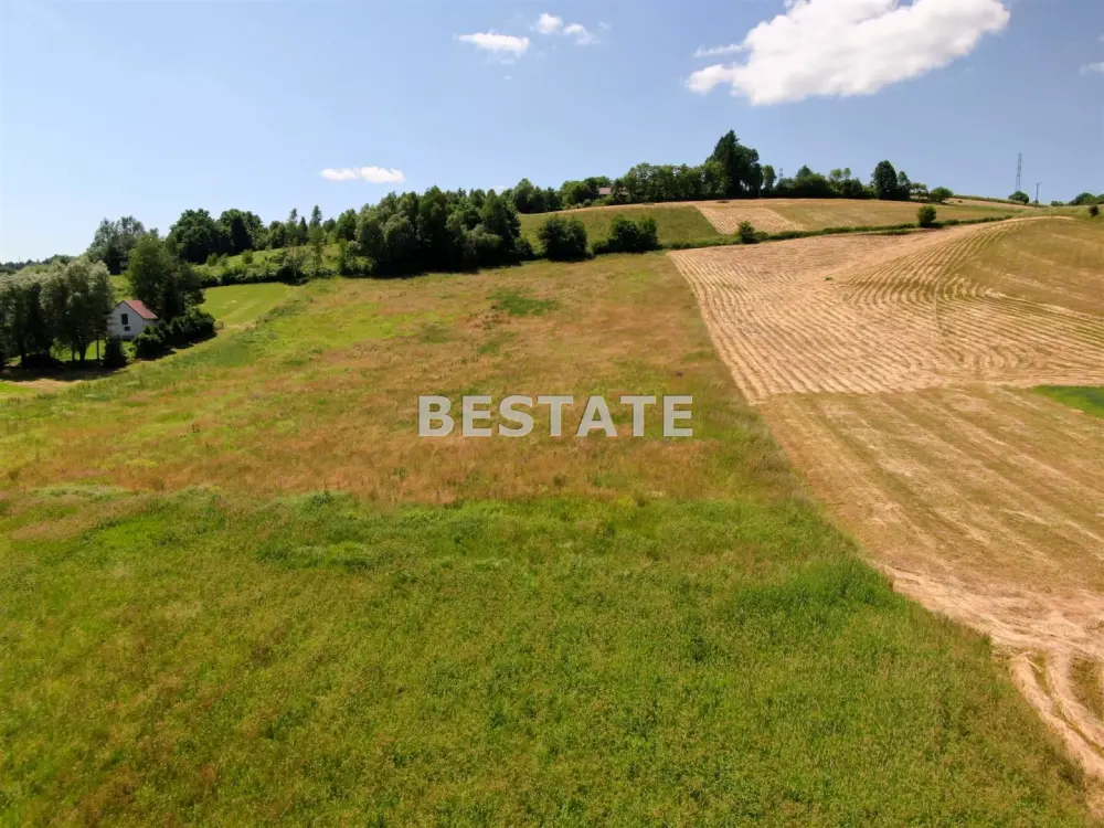 Działka budowlana 7 500 m², Rzepiennik Marciszewski — zdjęcie 6, Działka na sprzedaż, Rzepiennik Marciszewski, gm. Gromnik