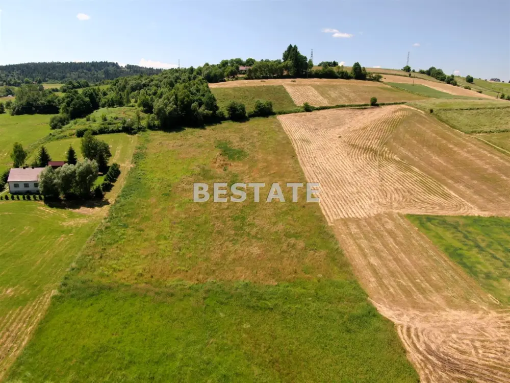 Działka budowlana 7 500 m², Rzepiennik Marciszewski — zdjęcie 4, Działka na sprzedaż, Rzepiennik Marciszewski, gm. Gromnik