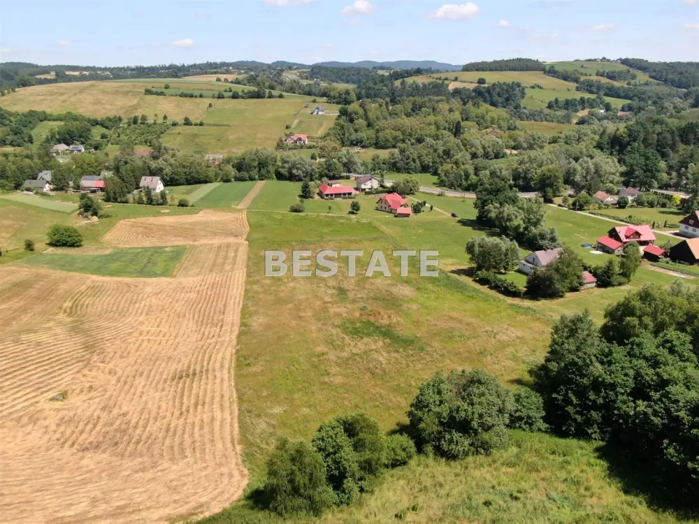 Działka budowlana 7 500 m², Rzepiennik Marciszewski — zdjęcie 3, Działka na sprzedaż, Rzepiennik Marciszewski, gm. Gromnik