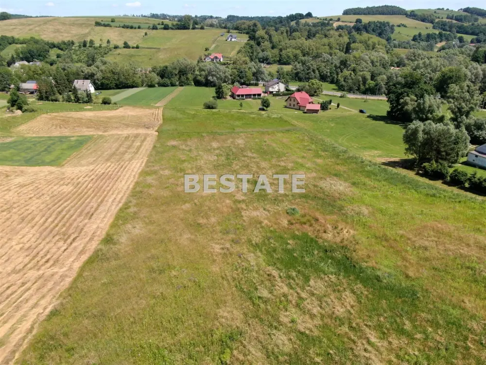 Działka budowlana 7 500 m², Rzepiennik Marciszewski — zdjęcie 5, Działka na sprzedaż, Rzepiennik Marciszewski, gm. Gromnik