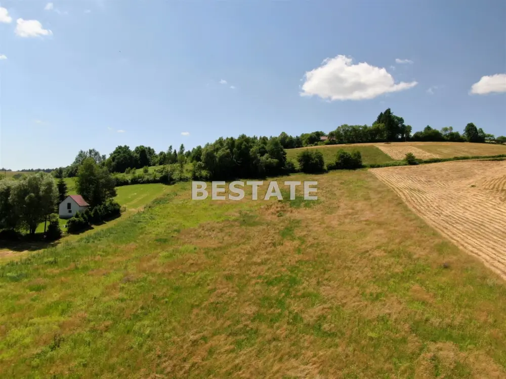 Działka budowlana 7 500 m², Rzepiennik Marciszewski — zdjęcie 2, Działka na sprzedaż, Rzepiennik Marciszewski, gm. Gromnik
