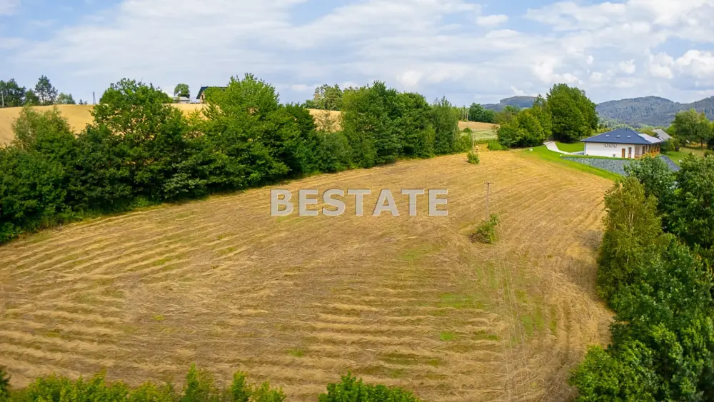 Działka budowlana, widokowa w Paleśnicy — zdjęcie 6, Działka na sprzedaż, Paleśnica, gm. Zakliczyn