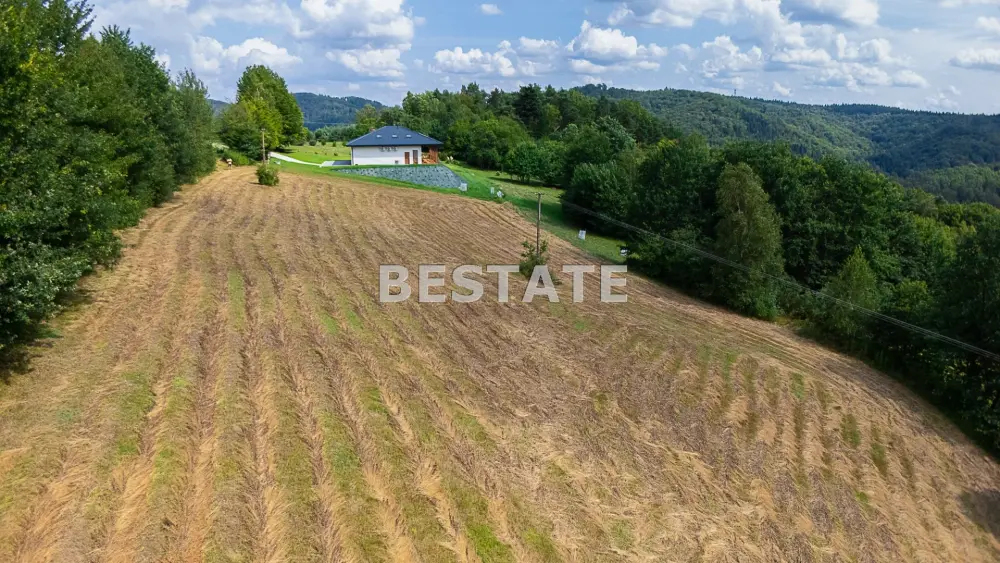 Działka budowlana, widokowa w Paleśnicy — Działka na sprzedaż, Paleśnica, gm. Zakliczyn
