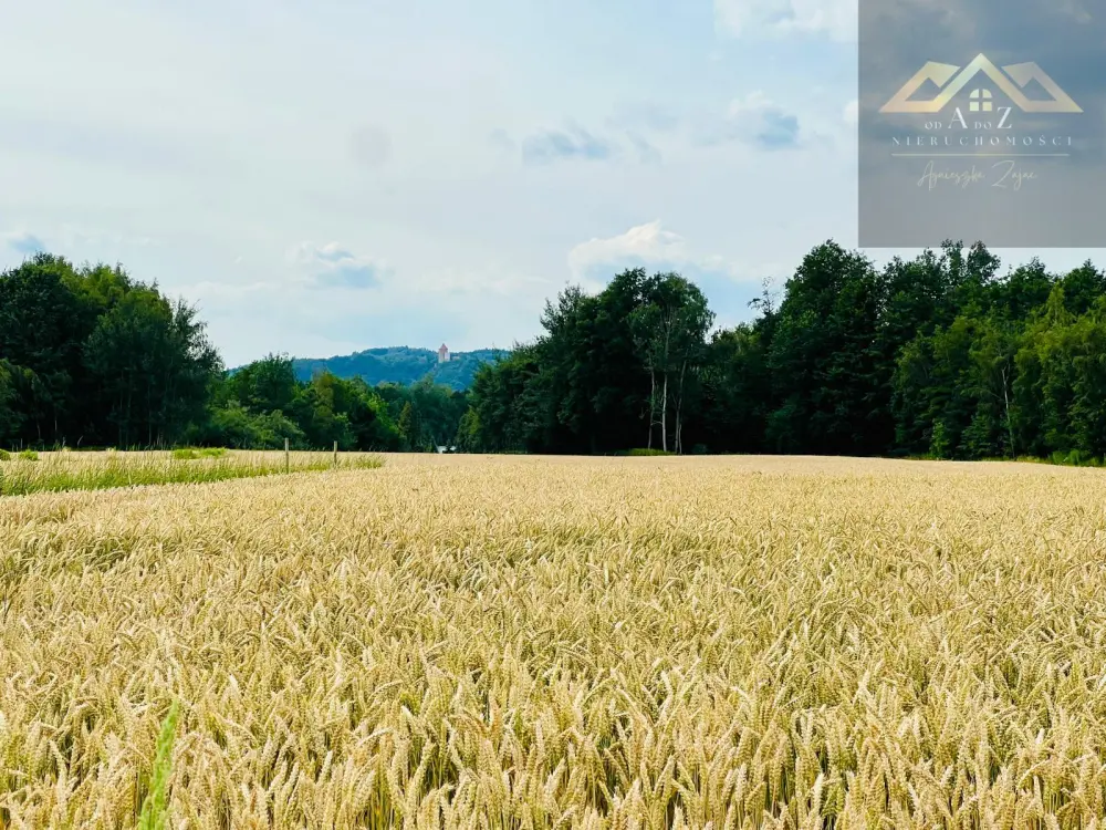 Działka budowlana z widokiem na Zamek w Melsztynie — zdjęcie 3, Działka na sprzedaż, Zakliczyn, Tarnów