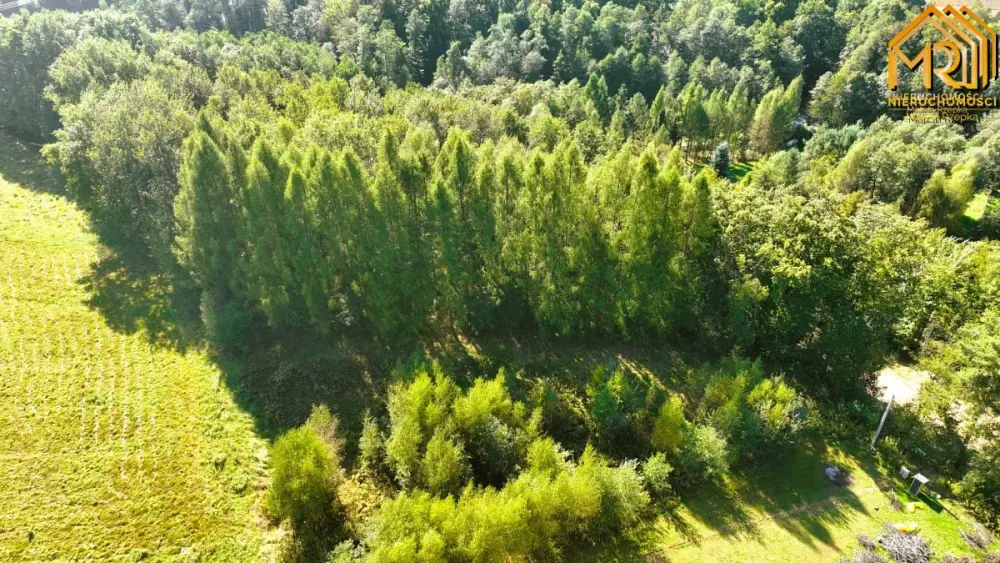 Działka budowlano-rolna w gminie Tuchów — zdjęcie 7, Działka na sprzedaż, Trzemesna, gm. Tuchów