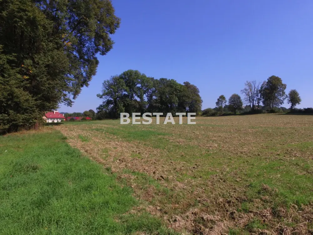 Działka inwestycyjna (usługi) 42 700 m², Burzyn — zdjęcie 2, Działka na sprzedaż, Burzyn, gm. Tuchów