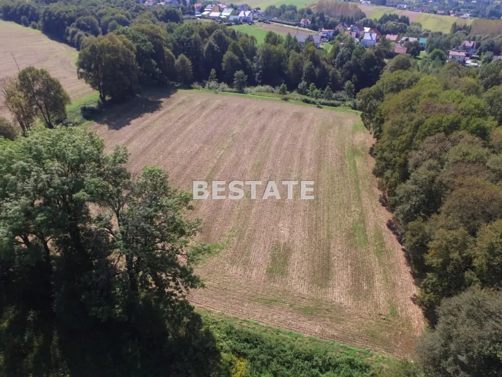 Działka inwestycyjna (usługi) 42 700 m², Burzyn — zdjęcie 7, Działka na sprzedaż, Burzyn, gm. Tuchów
