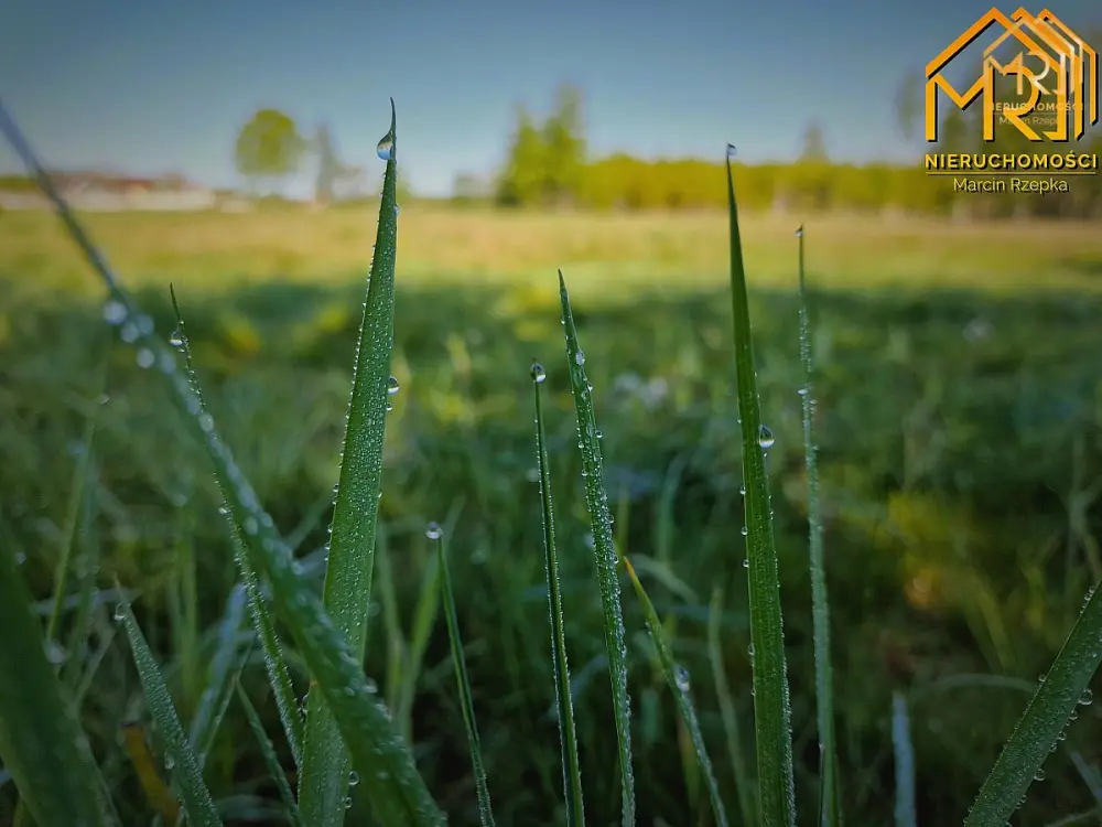 Działka pod zabudowę w gminie Pilzno — zdjęcie 9, Działka na sprzedaż, Machowa, Tarnów