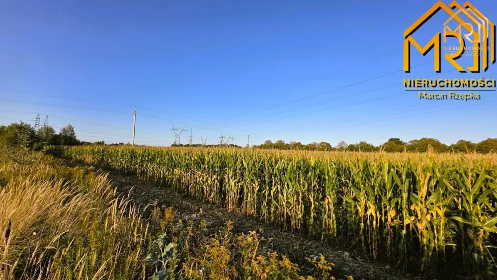 Działka rolna 0,9283 ha przy ul. Niedomickiej, Tar — zdjęcie 4, Działka na sprzedaż, Starówka, Tarnów