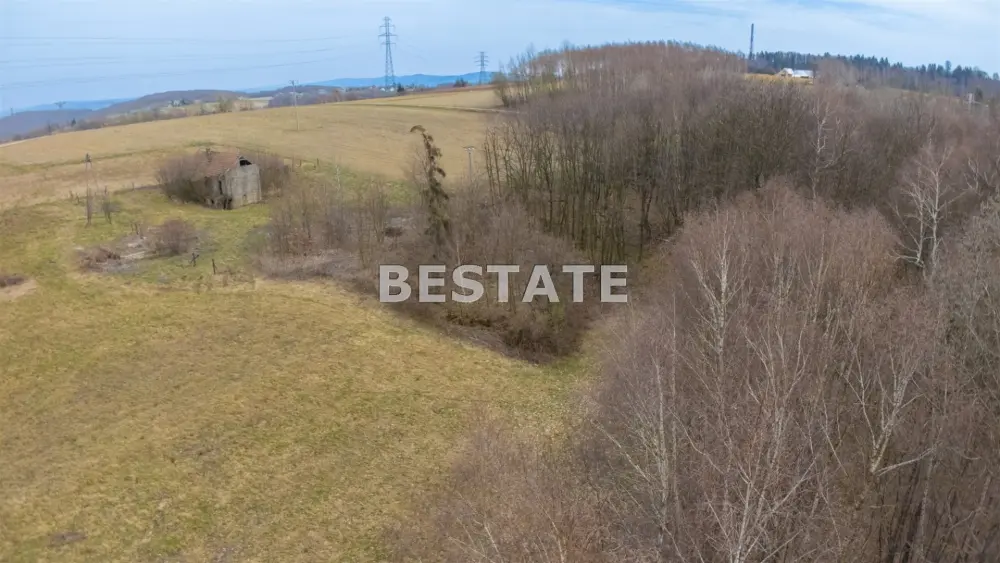 Działka rolna 37 000 m², Rychwałd — zdjęcie 3, Działka na sprzedaż, Rychwałd, gm. Pleśna