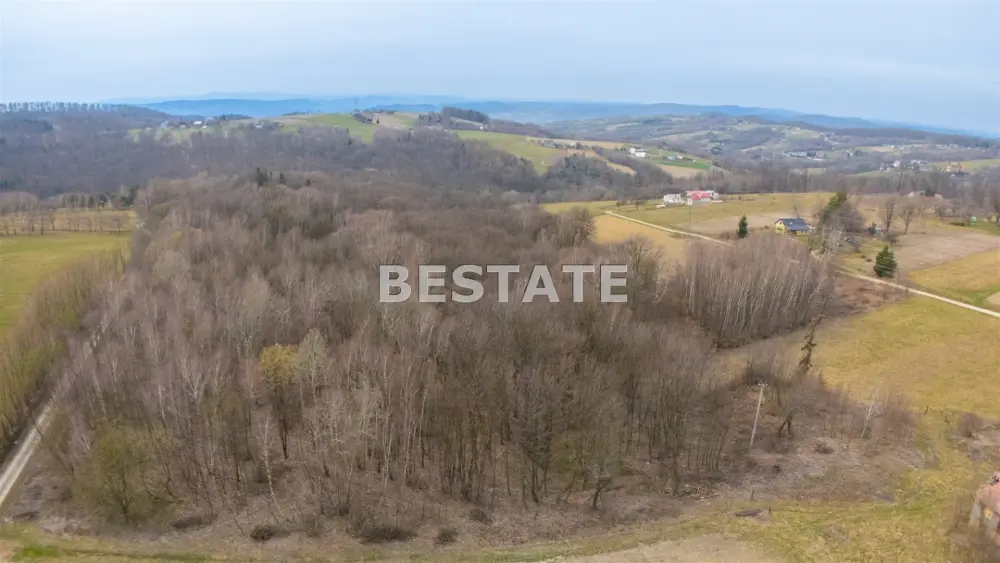 Działka rolna 37 000 m², Rychwałd — zdjęcie 6, Działka na sprzedaż, Rychwałd, gm. Pleśna