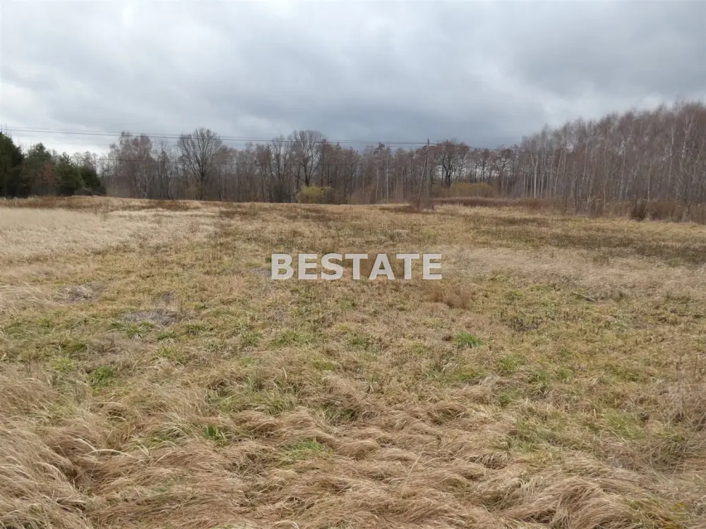Działka rolna 4 782 m², Łopoń — Działka na sprzedaż, Łopoń, gm. Wojnicz