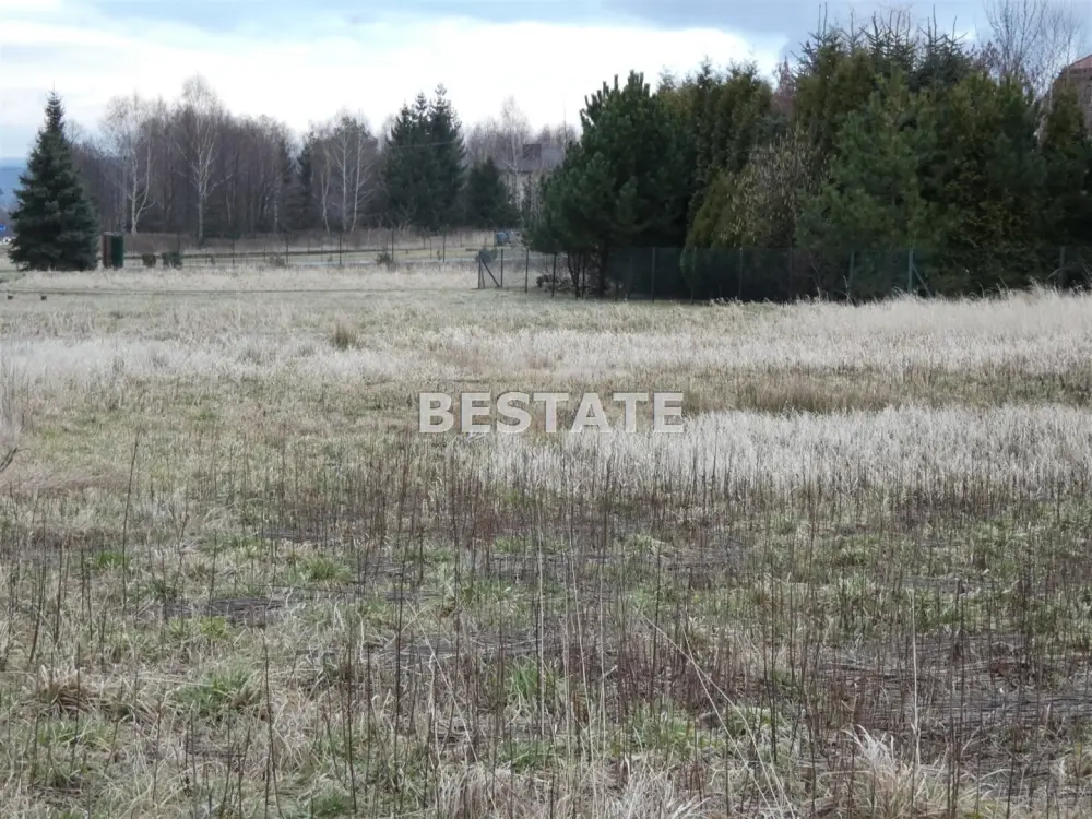 Działka rolna 4 782 m², Łopoń — zdjęcie 3, Działka na sprzedaż, Łopoń, gm. Wojnicz