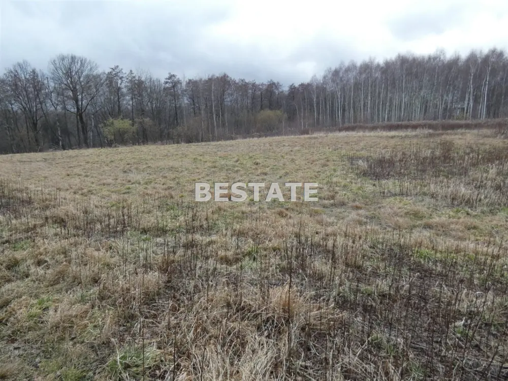 Działka rolna 4 782 m², Łopoń — zdjęcie 2, Działka na sprzedaż, Łopoń, gm. Wojnicz