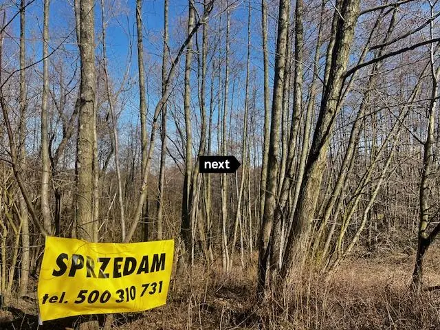Działka rolna Szczepanowice — zdjęcie 3, Działka na sprzedaż, Szczepanowice, gm. Pleśna
