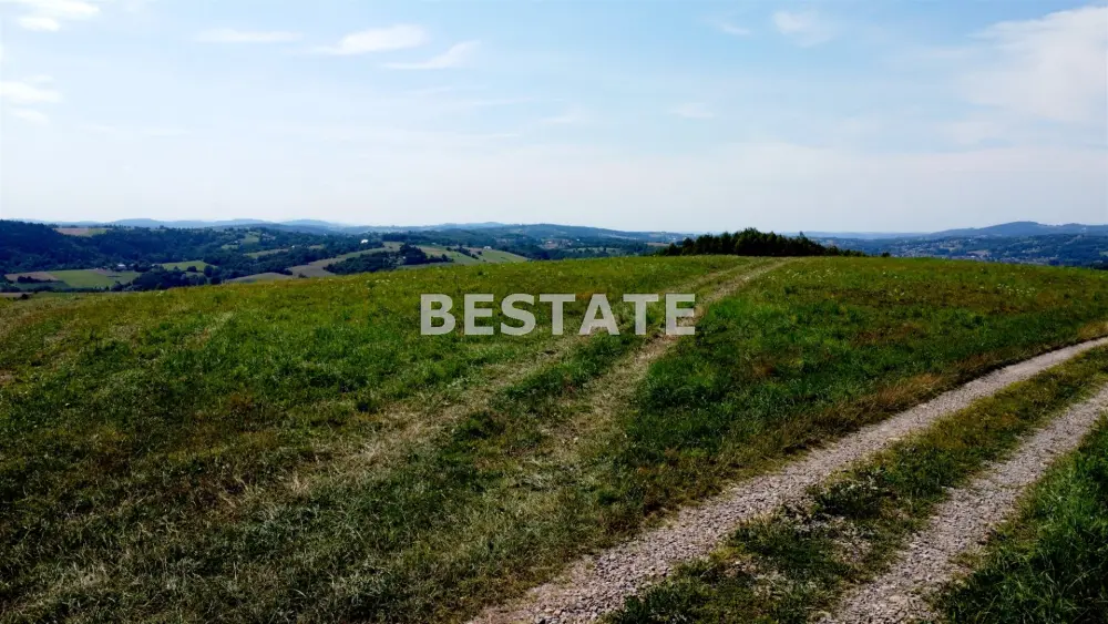 Działka w sąsiedztwie lasu w pięknej okolicy. — zdjęcie 3, Działka na sprzedaż, Rzepiennik Strzyżewski, Tarnów