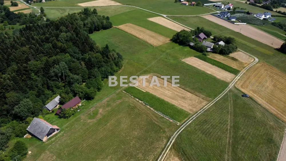Działka w sąsiedztwie lasu w pięknej okolicy. — zdjęcie 5, Działka na sprzedaż, Rzepiennik Strzyżewski, Tarnów