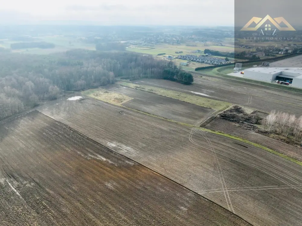 Działka z lasem w atrakcyjnej lokalizacji — zdjęcie 4, Działka na sprzedaż, Lisia Góra, Tarnów
